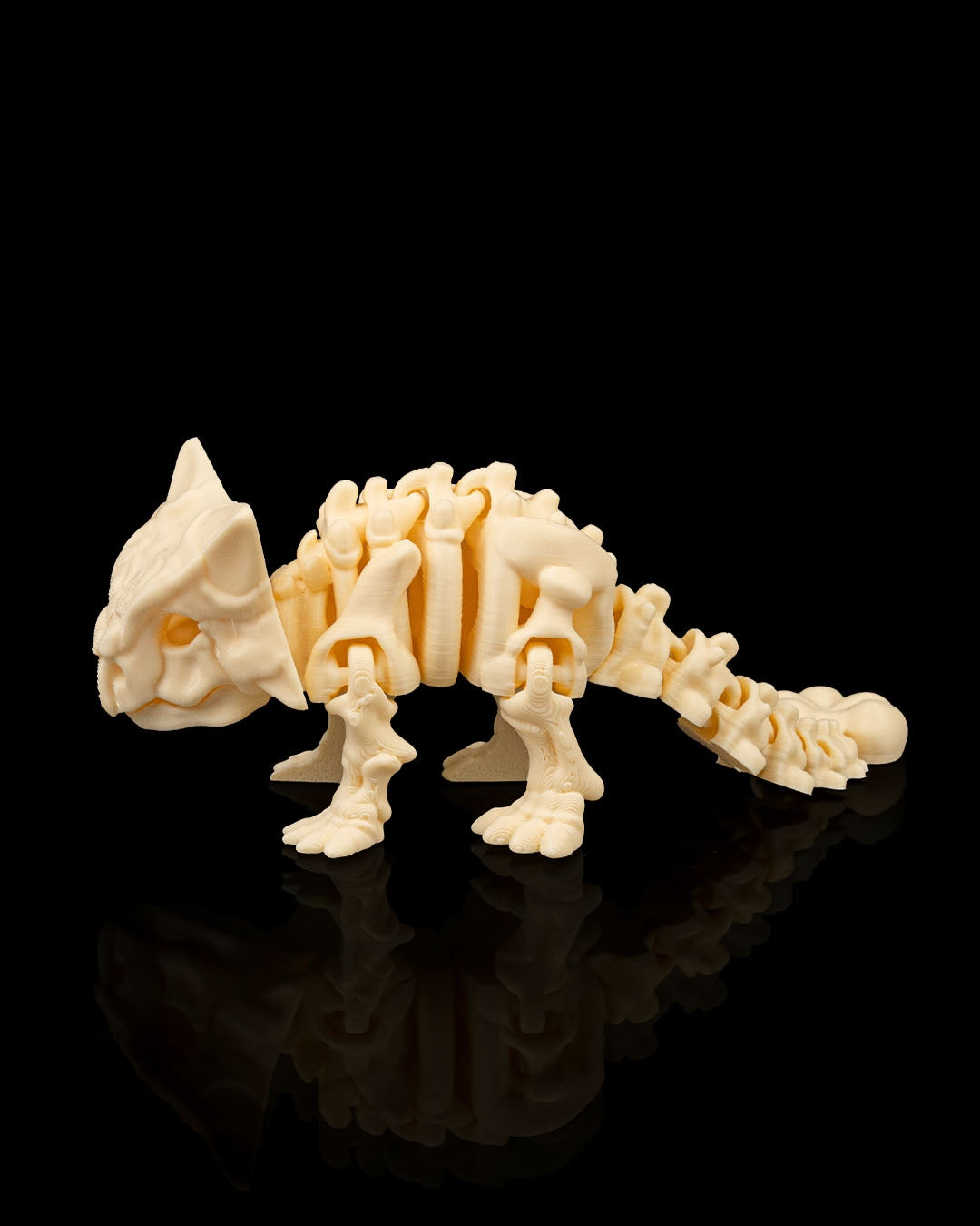 Skeleton Ankylosaurus