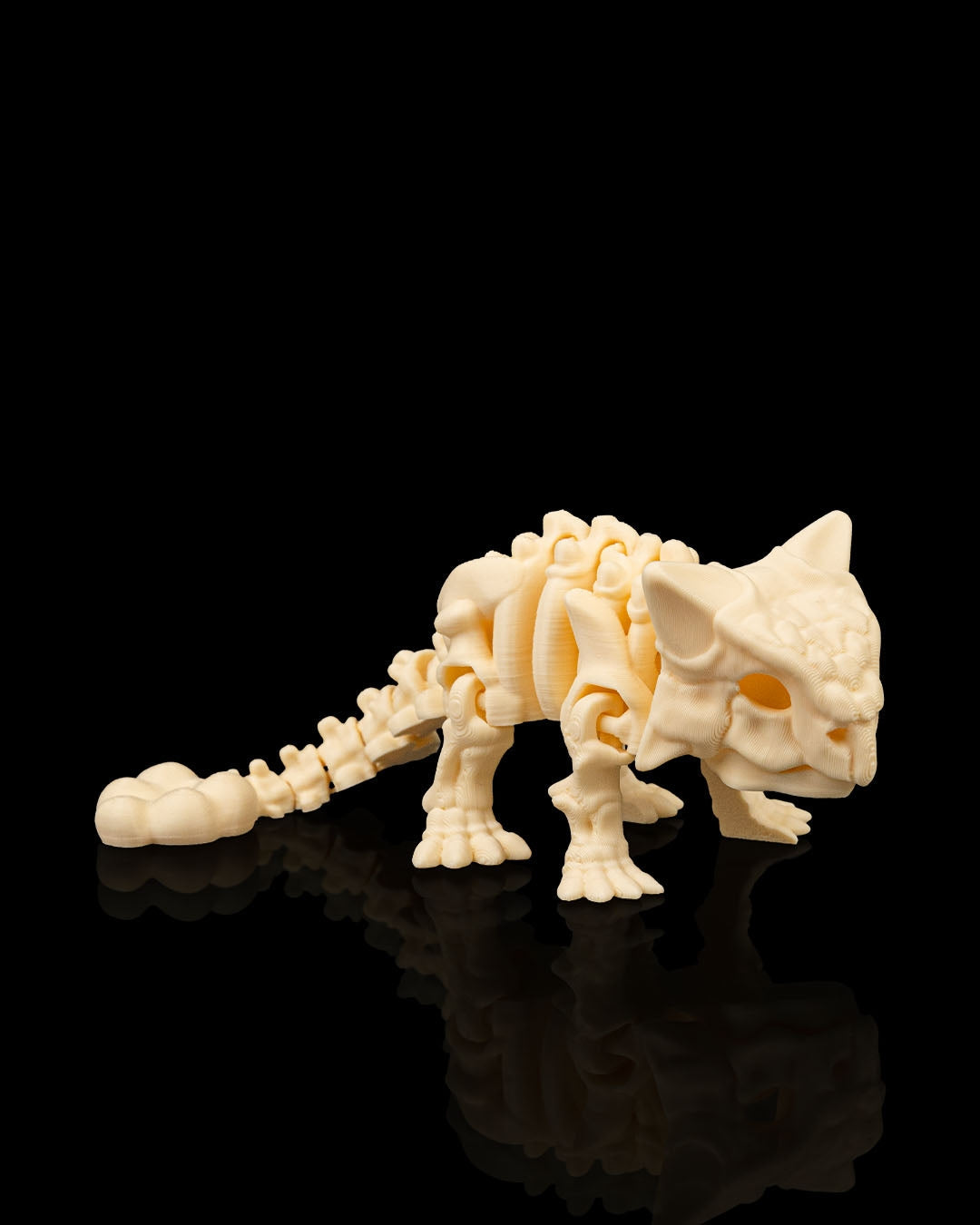 Skeleton Ankylosaurus