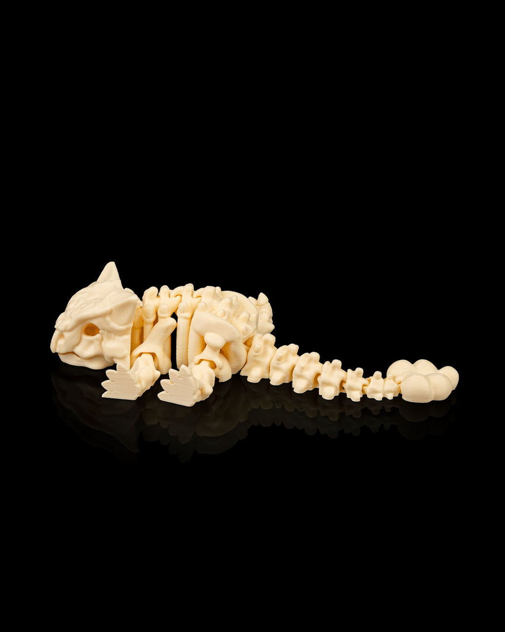 Skeleton Ankylosaurus