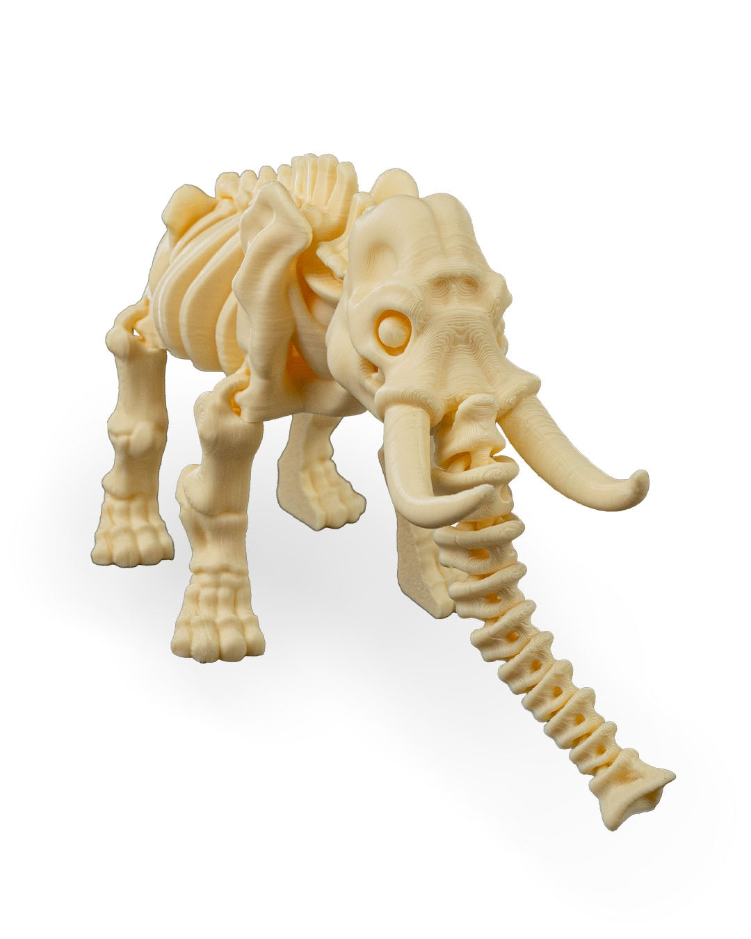Skeleton Elephant