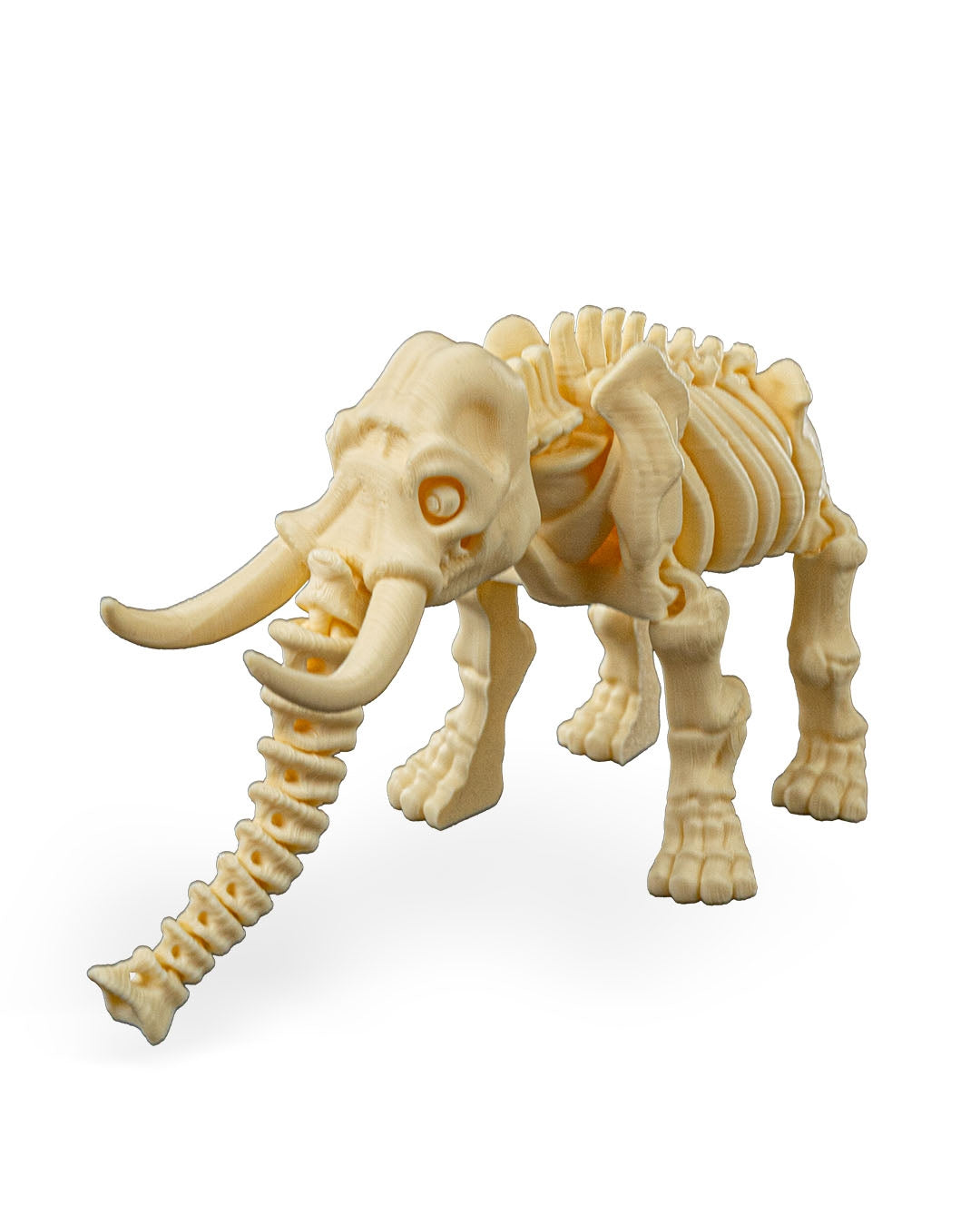 Skeleton Elephant
