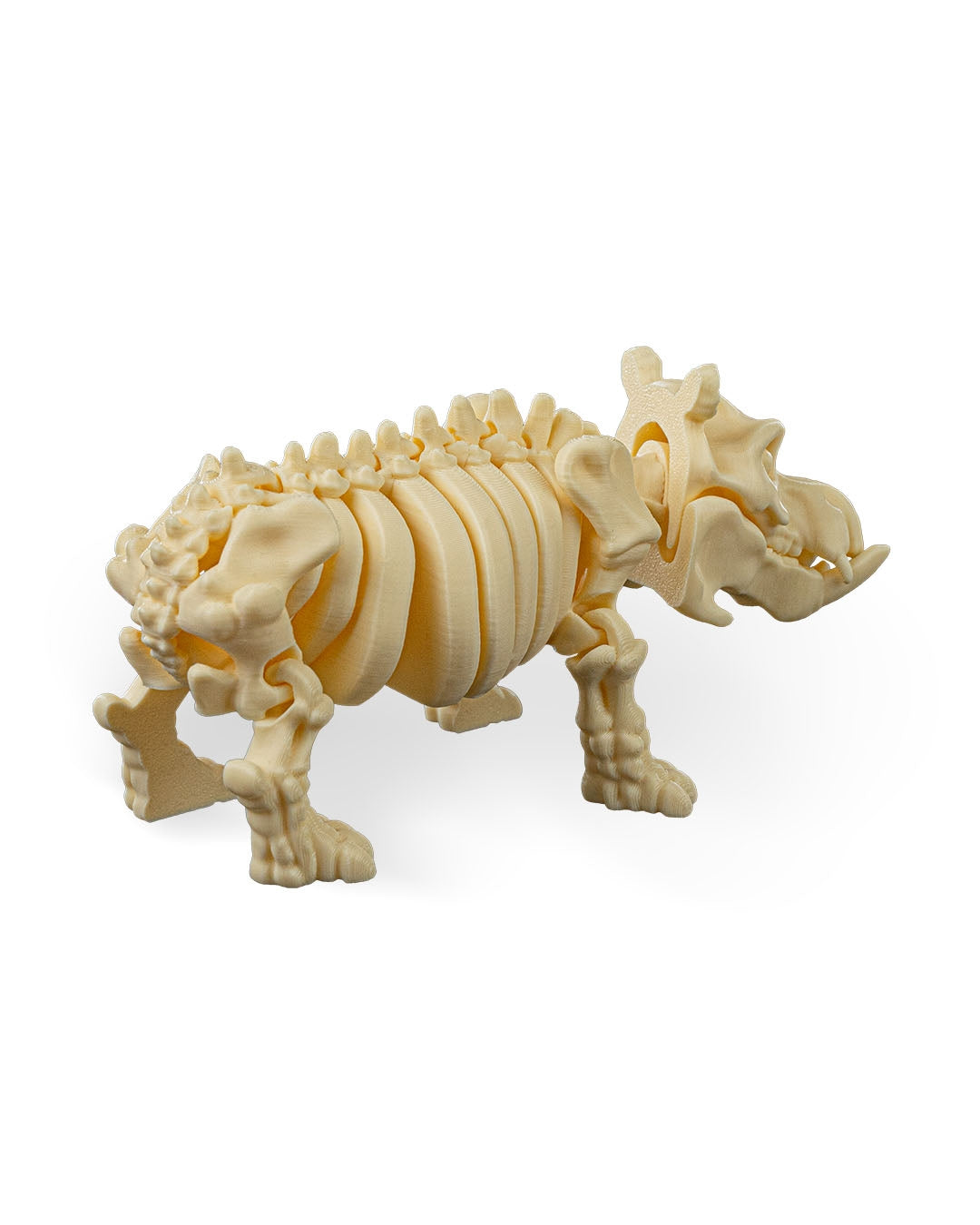 Skeleton Hippo