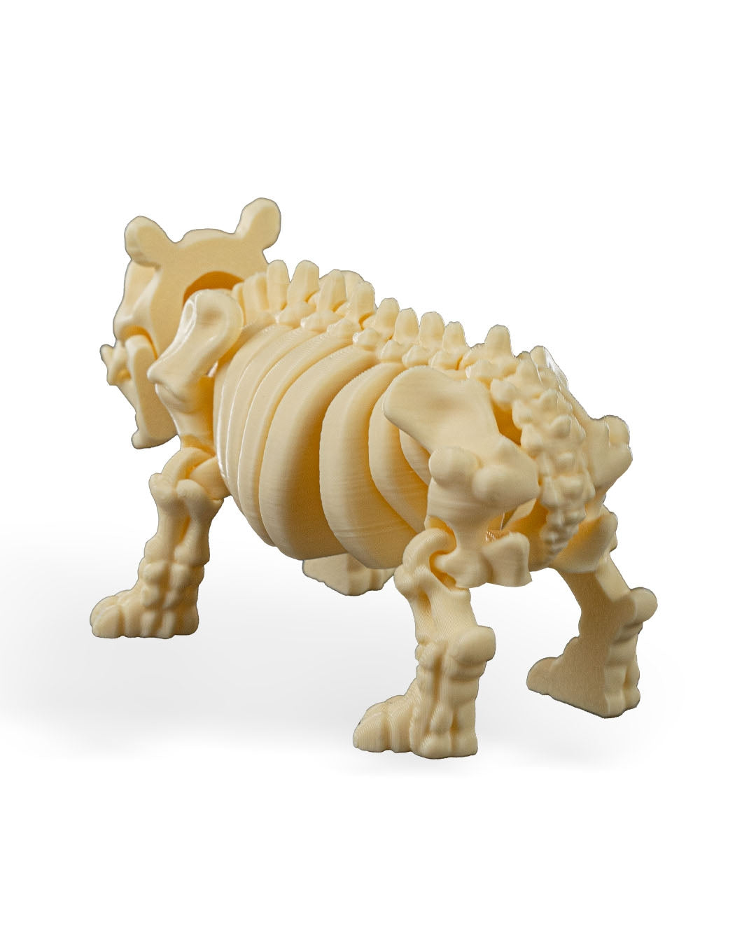 Skeleton Hippo