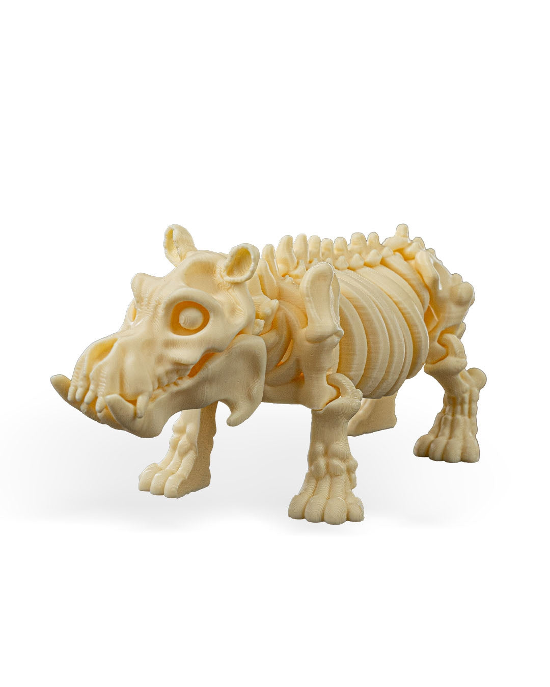 Skeleton Hippo
