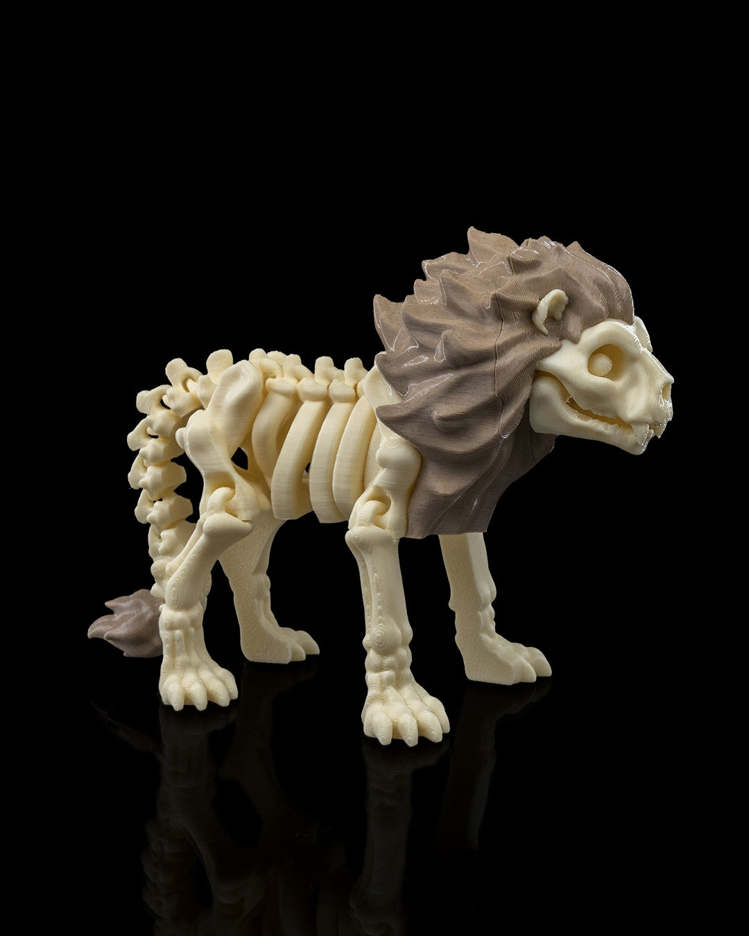 Skeleton Lion