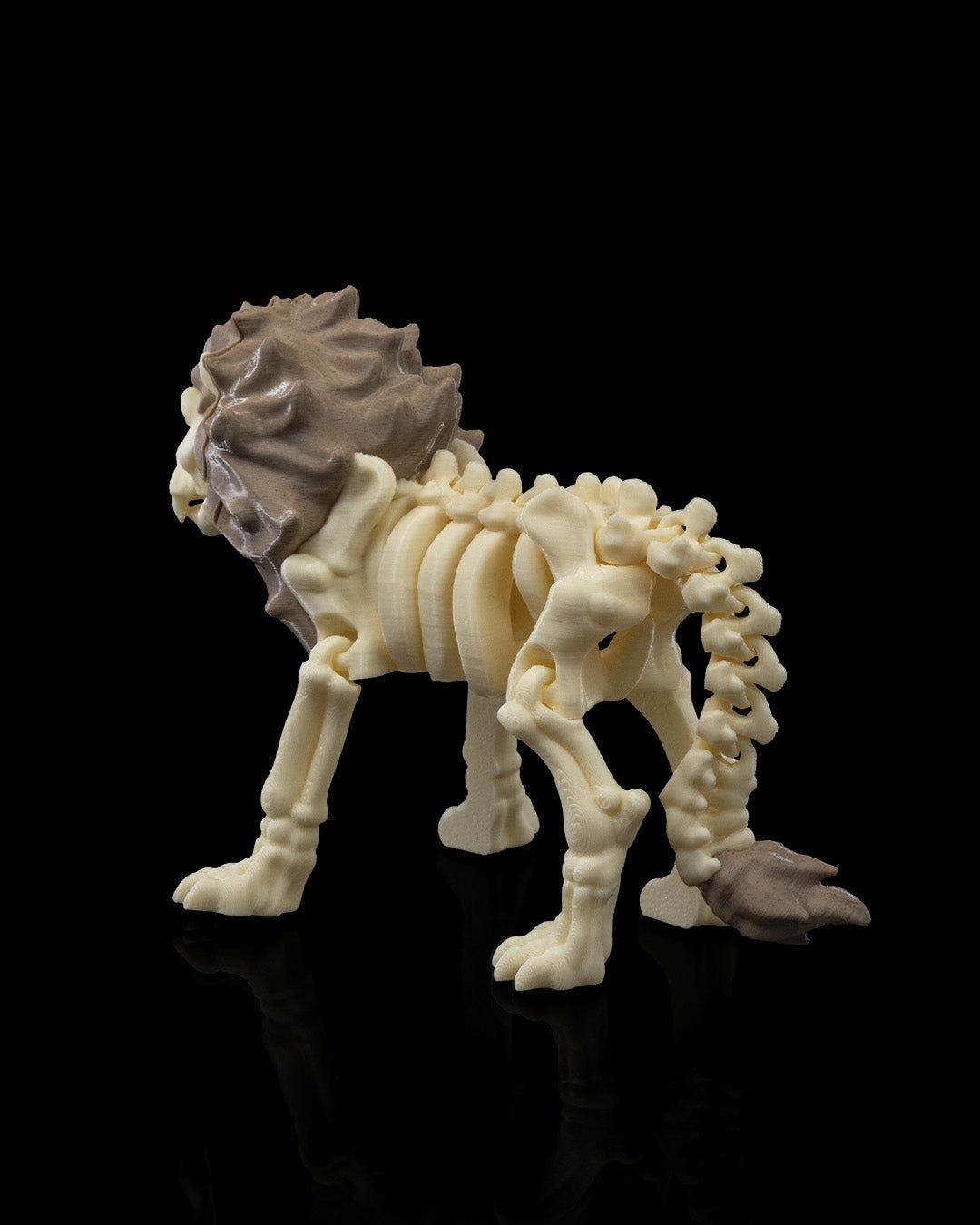 Skeleton Lion