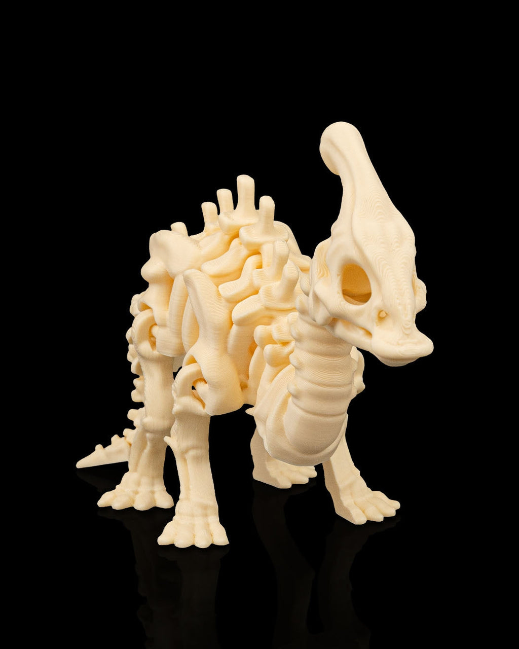 Skeleton Parasaurolophus