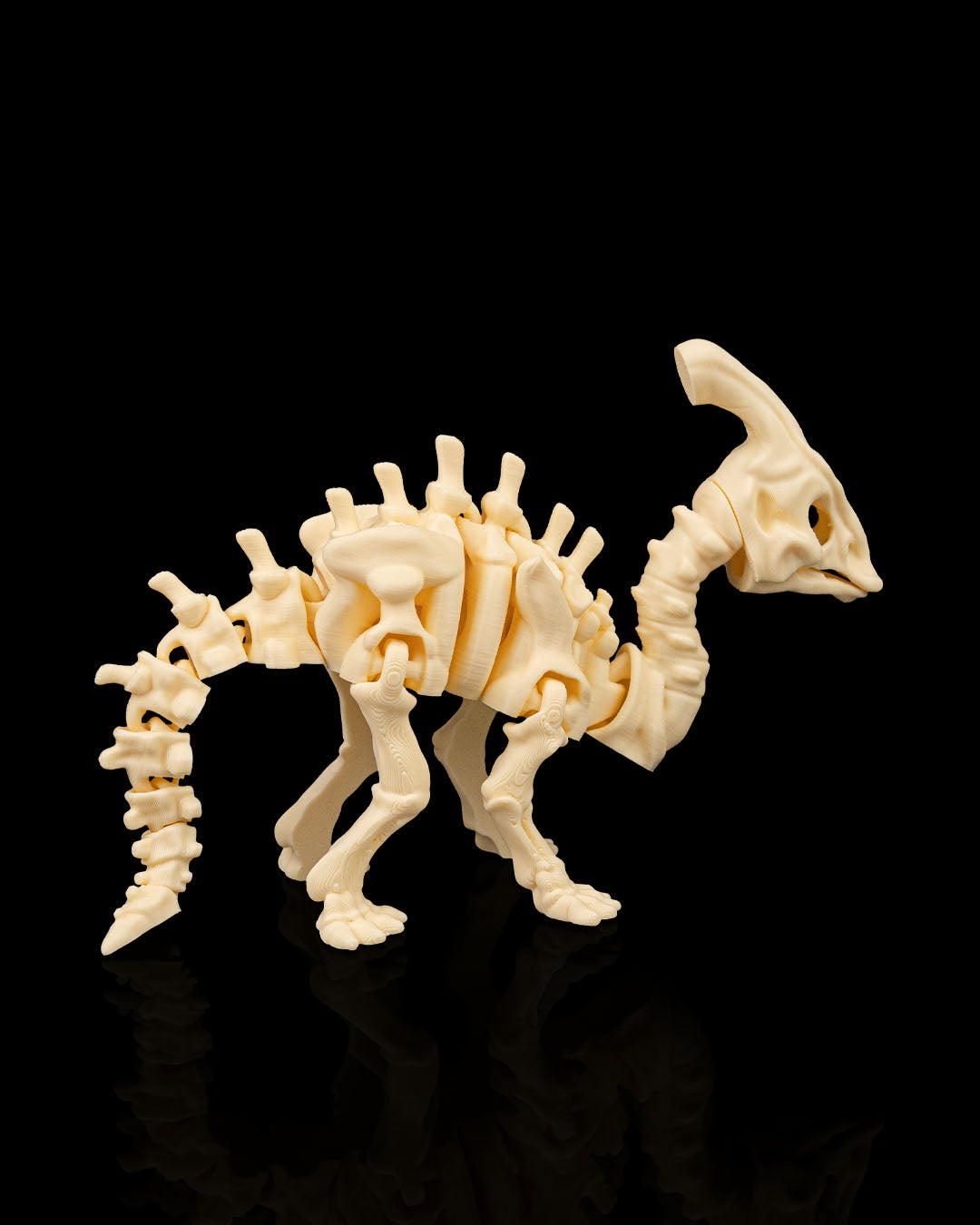Skeleton Parasaurolophus