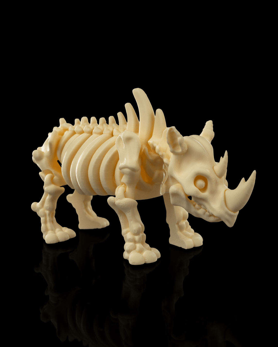 Skeleton Rhino