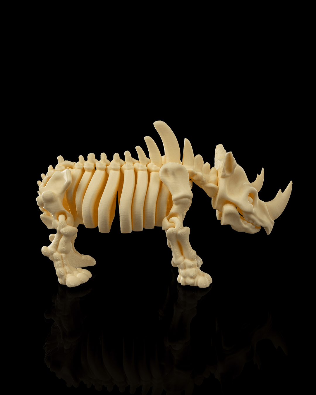 Skeleton Rhino