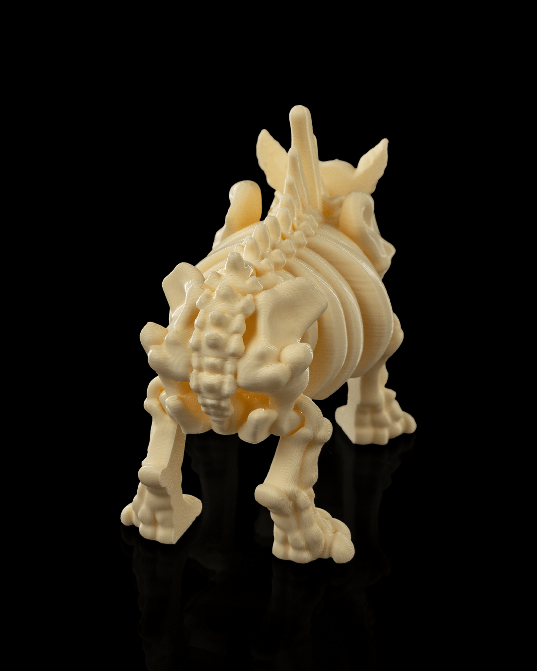 Skeleton Rhino