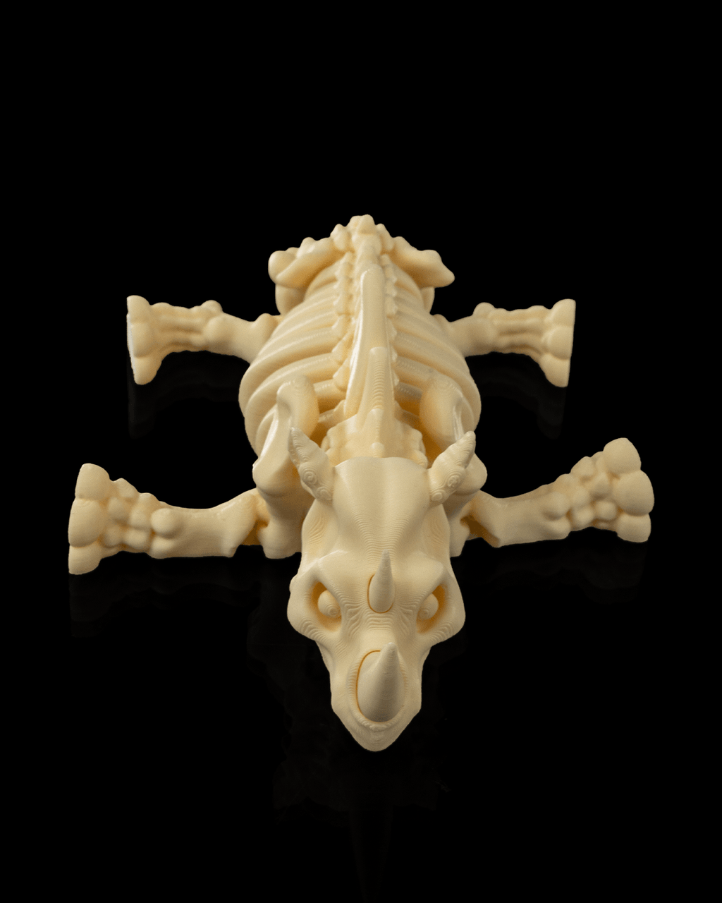 Skeleton Rhino