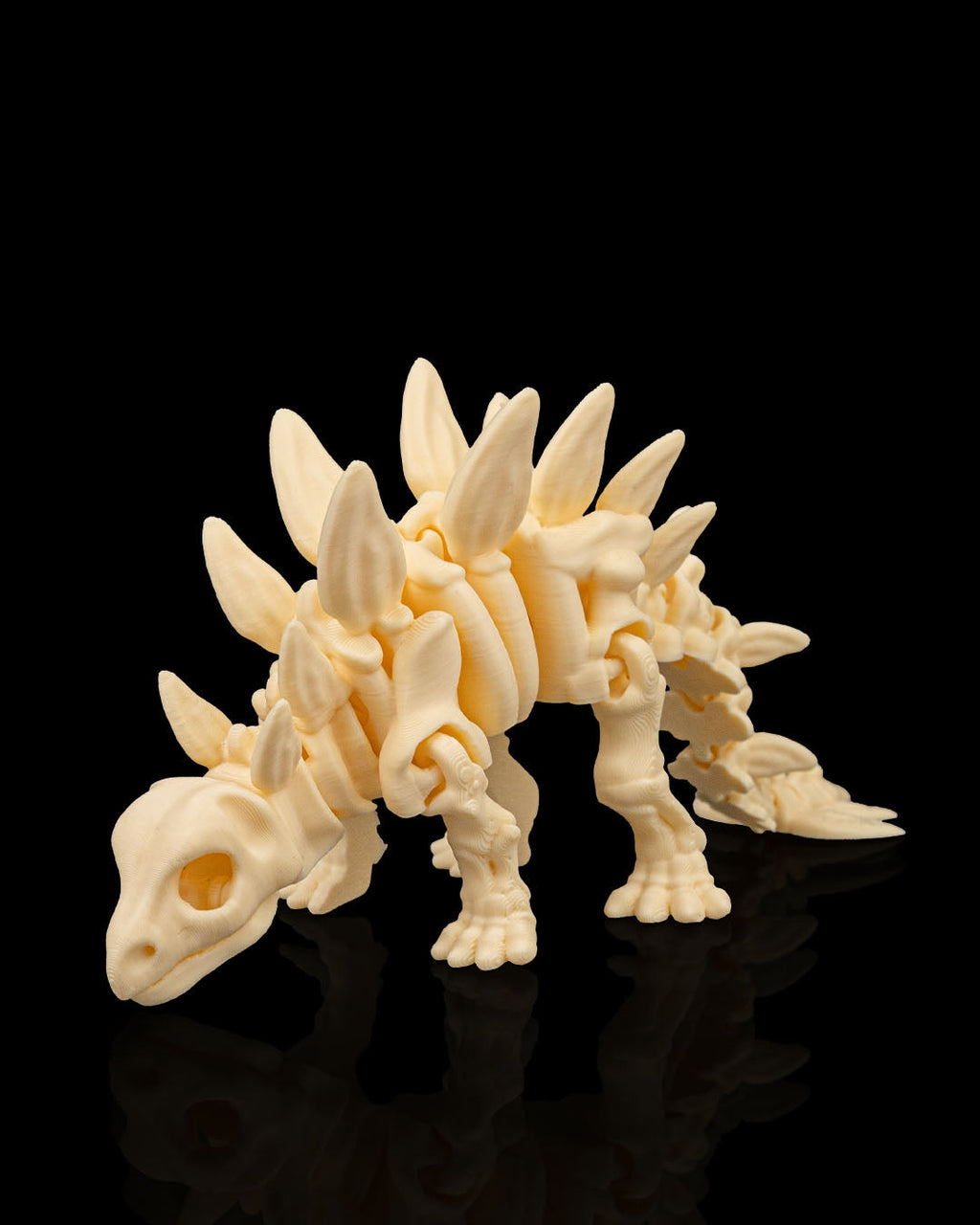 Skeleton Stegosaurus