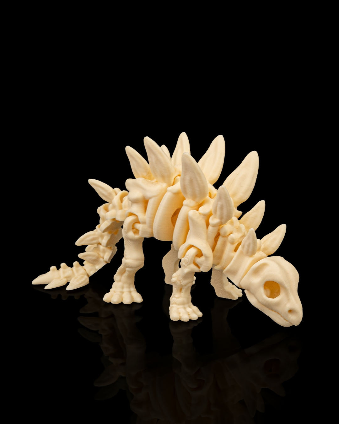 Skeleton Stegosaurus