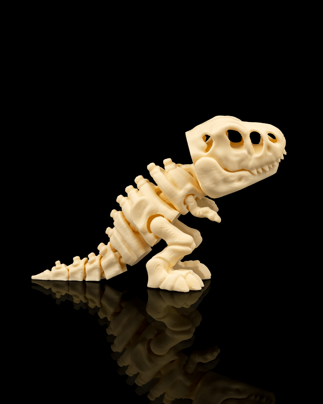 Skeleton T-Rex
