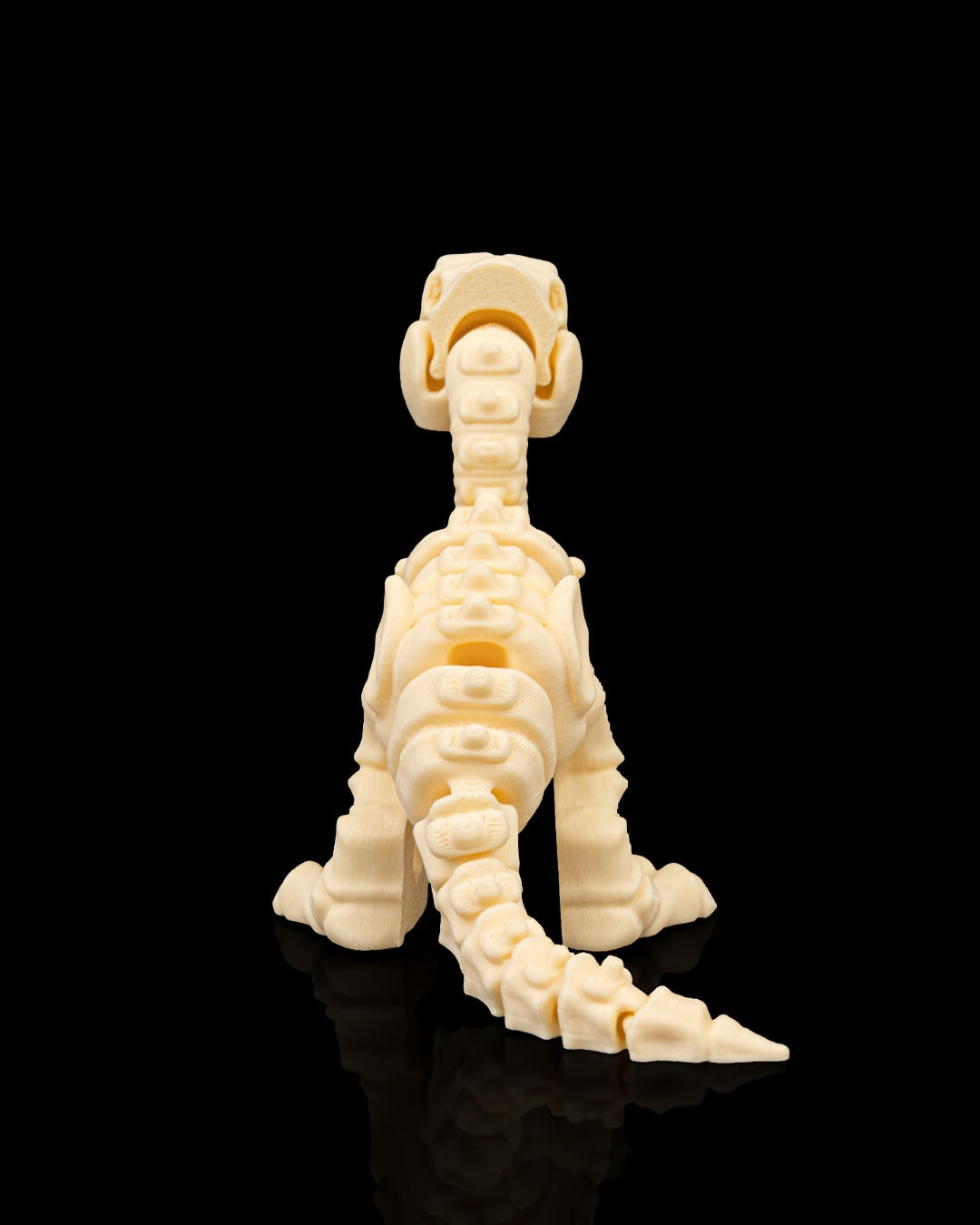 Skeleton Velociraptor